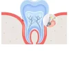 Importance of baby teeth foundation – probiotic toothpaste prevents early cavities, fluoride-free OEM formula for children's dental health Importance of baby teeth foundation – probiotic toothpaste prevents early cavities, fluoride-free OEM formula for children's dental health
