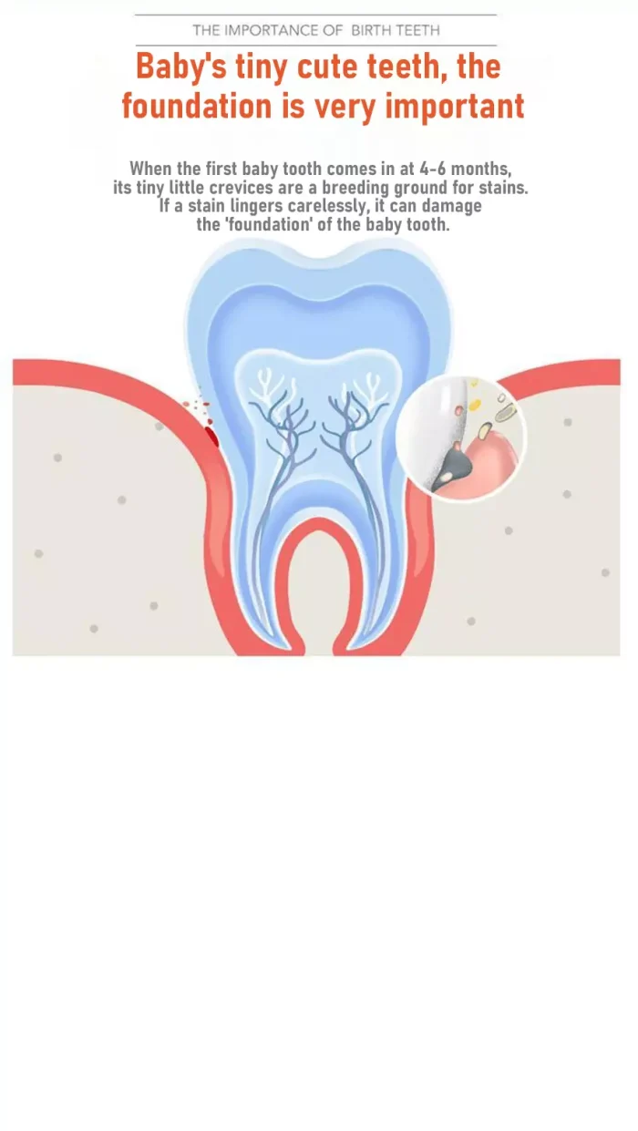 Importance of baby teeth foundation – probiotic toothpaste prevents early cavities, fluoride-free OEM formula for children's dental health Importance of baby teeth foundation – probiotic toothpaste prevents early cavities, fluoride-free OEM formula for children's dental health