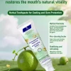 Gum Care Toothpaste