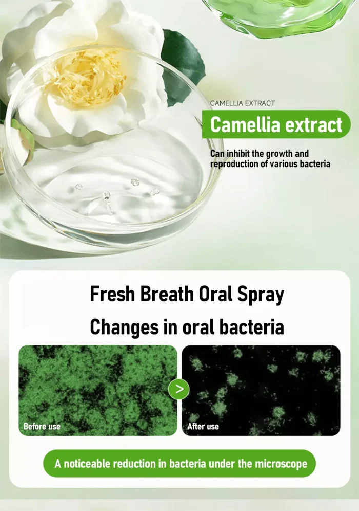 Probiotic Antibacterial Effect Under Microscope