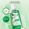 Back label of alcohol-free jasmine green tea mouthwash showing 0% alcohol, natural ingredients and 12-hour freshness claim Back label of alcohol-free jasmine green tea mouthwash showing 0% alcohol, natural ingredients and 12-hour freshness claim