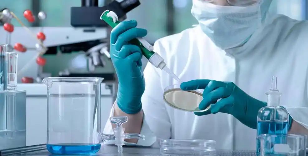 Top 10 Private Label Toothpaste Manufacturers & Suppliers