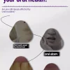 Daily oral care whitening toothpaste protecting gum health and fresh breath Daily oral care whitening toothpaste protecting gum health and fresh breath