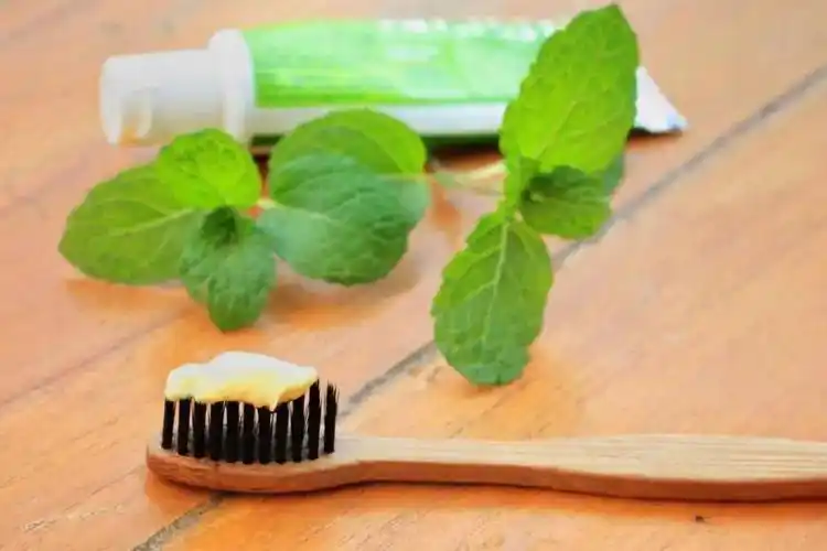 OEM toothpaste factory offering custom private-label toothpaste tubes with multiple formulations, including whitening, herbal, and sensitive options