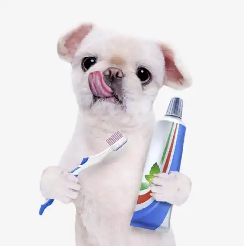 Get everything you need to source high-margin pet toothpaste in 2026: low MOQ suppliers, VOHC options, natural and enzymatic formulas, plus direct contact details for Toothpaste Factory and other trusted manufacturers.